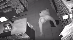 VIDEO: Páchateľ kradol poštvornožky. Kamery zachytili bizarné vlámanie v bratislavskom supermarkete