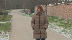 Invalidnej dôchodkyni ukradli psa. Pomáhal jej zlepšiť vážny zdravotný stav