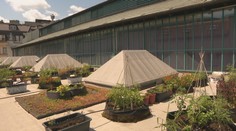 Čo skrýva Stará tržnica? Tajná miestnosť v podzemí a ďalšie miesta, o ktorých ste určite netušili