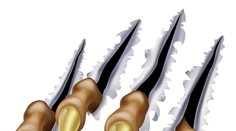 Predpoveď z Nemecka: Nastúpia dravci z východu