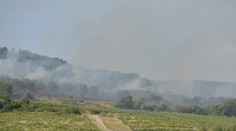 V bratislavských vinohradoch horelo. Evakuovali 20 ľudí