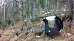 Zonácia TANAP-u je terčom kritiky. Doline s takmer nedotknutou prírodou hrozí podľa aktivistov zničenie