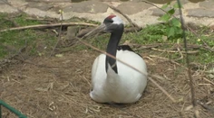 Otvorili len pred pár dňami a už riešia incident. Kamera v bojnickej zoo nakrútila šokujúce správanie muža