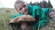 Mykologička ukázala oblasť, kde je najviac húb: Tu máme "zarobené" na dobrú sezónu