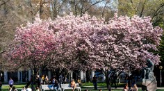 Veľká predpoveď počasia: Teplotné rekordy aj ochladenie. Na Zelený štvrtok až 28 stupňov, potom príde zmena