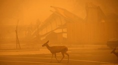 Obrovský požiar v Kalifornii: Dve mestá takmer úplne vyhoreli