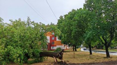 Juhom stredného Slovenska sa prehnala búrka. Stromy popadali aj na elektrické vedenie