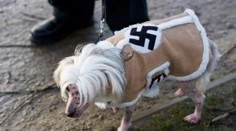 Posadnutý Brit urobil nacistu aj zo svojho psa!