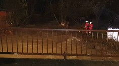 Katarína, Zuzana a Zdenka chceli pred veľkou vodou zachrániť psíkov z útulku