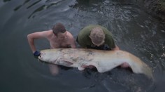 Deti v rybárskom tábore zažili obrovské prekvapenie. Vyzeralo to, akoby boli inštruktor so sumcom dohodnutí