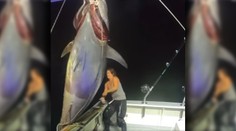 VIDEO: Medzi lovcami tuniakov sa nestratí. Michelle vytiahla na palubu poltonovú ozrutu