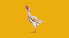 Má 10 miliárd videní na sociálnych sieťach. Tohtoročný hudobný hit valcuje internet