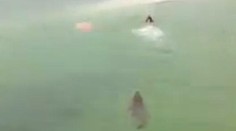 VIDEO: Plávanie o život. Turista len tak-tak unikol krokodílovi