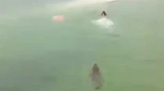 VIDEO: Plávanie o život. Turista len tak-tak unikol krokodílovi