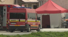 Vyzabíjali v poradí už siedmu farmu. Chovatelia dúfajú, že vybíjanie pre slintačku a krívačku už skončilo