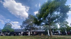 Brutálny útok v Prahe: Ženu znásilnili priamo v parku. Polícia zadržala štyroch podozrivých