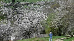 Všetci tam chcú fotku. Slovenskú obec so 60 obyvateľmi navštevujú tisíce turistov