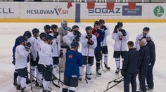 Šatan meno reprezentačného kapitána prezradiť nechcel, koho by ste si zvolili vy?