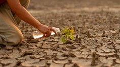 Aká je naša ekologická budúcnosť? Zakročiť sa rozhodli nielen znepokojené matky