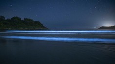 Stáročia fascinuje námorníkov, zachytili ju aj satelity. Vedci už tušia, ako vzniká záhadná žiara v oceánoch