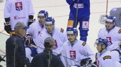 Nemecký pohár: Pred víkendovými zápasmi hokejistom padol vhod deň voľna