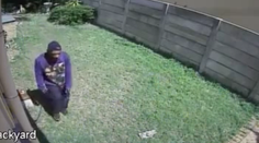 Zlodeja na „smrť“ vydesil pes. Neuveríte aký!