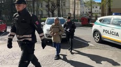 V minulosti si už odsedela trest za vraždu. Žena mala teraz vraždiť opäť, putuje za mreže