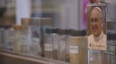 Majitelia zmrzlinární spomínajú na pápežove návštevy. Odhalili jeho obľúbenú príchuť