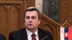 Spomedzi lídrov strán najviac zarobili Danko, Kotleba a Fico