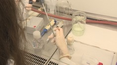 Hygienici kontrolovali stravovacie zariadenia. Z niektorých výsledkov vám bude zle