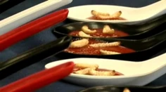 Prechádzka modernou gastronómiou: Pozrite sa, koľko druhov hmyzu môžeme jesť