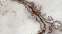 Objav, ktorý prepíše učebnice. Život vznikol na Zemi skôr, ako sme si mysleli