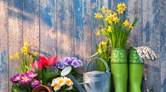 Nakúpte v hobbi a hrajte o 500 € poukážky na zážitky či dovolenku