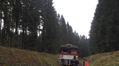 Tragédia na Spiši: Vlak zabil dvoch tínedžerov
