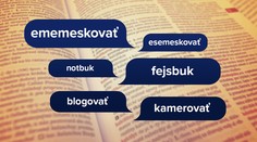 Spisovná slovenčina je bohatšia o nové slová. Keď ich napíšete, budú sa vám zdať divné