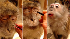 Kontroverzné video vyvolalo veľké ohlasy. Milé alebo kruté?