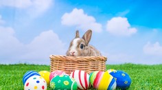 Tešíte sa na 20°C na Veľkú noc? Meteorológovia nemajú dobré správy. Sviatky prinesú veľký zvrat