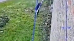 VIDEO: Boss talianskej mafie utiekol z prísne stráženého väzenia. Stačili mu na to plachty z postele