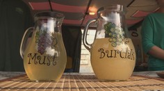 Už ste si kúpili tento rok burčiak? Nemáme pre vás dobrú správu