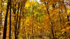 Meteorologické modely sa zhodujú ako málokedy. Takéto počasie môže priniesť jeseň