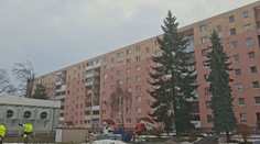 Mali skrášľovať sídliská, ale už sú z nich obry. Gigantické stromy ohrozujú autá, bytovky aj ľudí