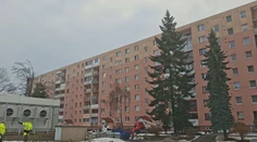 Mali skrášľovať sídliská, ale už sú z nich obry. Gigantické stromy ohrozujú autá, bytovky aj ľudí