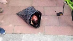 Novorodenca vložili do igelitky a kuriérom ho poslali do hniezda záchrany