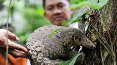 Vedci objavili novú možnú príčinu smrtiaceho koronavírusu