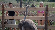 Vojna o mená: Ako sa budú volať noví obyvatelia Farmy?