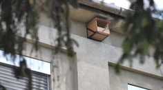 Netradiční pomocníci v martinskej nemocnici. Sokoly majú vyriešiť dlhoročný problém