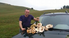 Prešiel celý les, ale najkrajšie huby našiel inde: Tu som ich naozaj nečakal