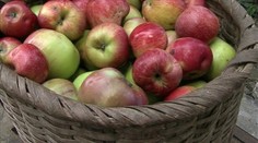 Poľských poľnohospodárov si podá Brusel