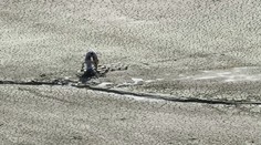 Vo vypustenom tajchu v Novej Bani ostalo nebezpečné bahno. Uviazli v ňom deti aj dospelí