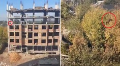 VIDEO: Nielenže prežil, dokonca odkráčal po svojich. Zázračný skok psa z budovy je hitom internetu